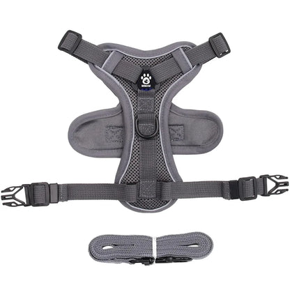 Pet Cat Harness and Leash Set Escape Proof - Katokitten