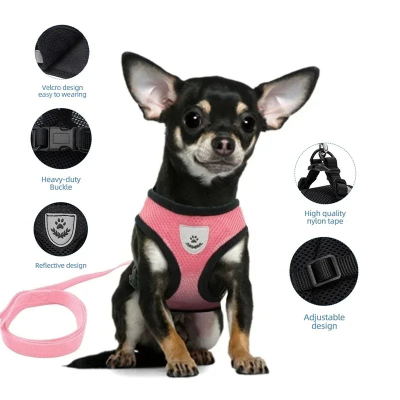Adjustable Pet Cat Harness Rope Set - Katokitten