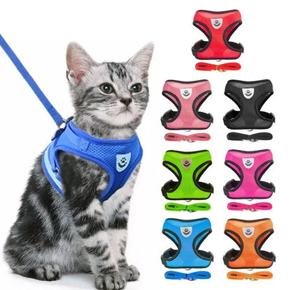 Adjustable Pet Cat Harness Rope Set - Katokitten
