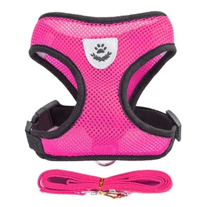 Adjustable Pet Cat Harness Rope Set - Katokitten