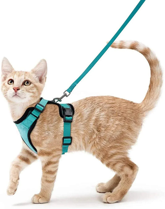 Pet Cat Harness and Leash Adjustable - Katokitten