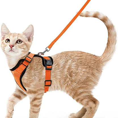 Pet Cat Harness and Leash Adjustable - Katokitten