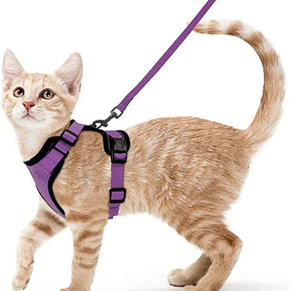 Pet Cat Harness and Leash Adjustable - Katokitten