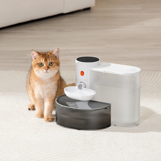Pet Cat Drinker Automatic Dispenser - Katokitten