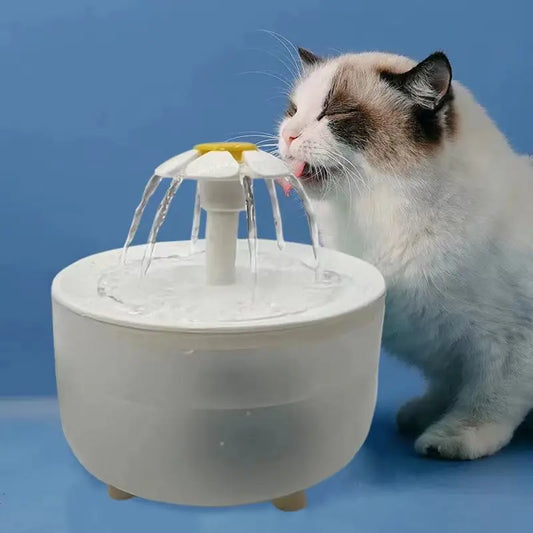 Pet Water Fountain Auto Filter USB Electric Bowl - Katokitten