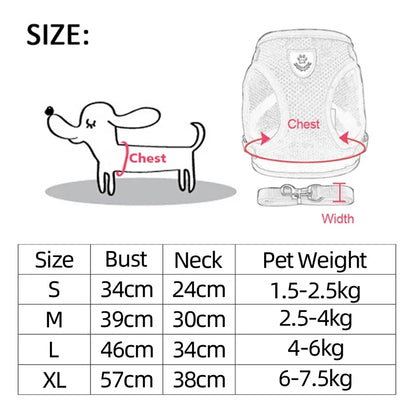 Pet Cat Harness Vest Walking Lead Leash - Katokitten